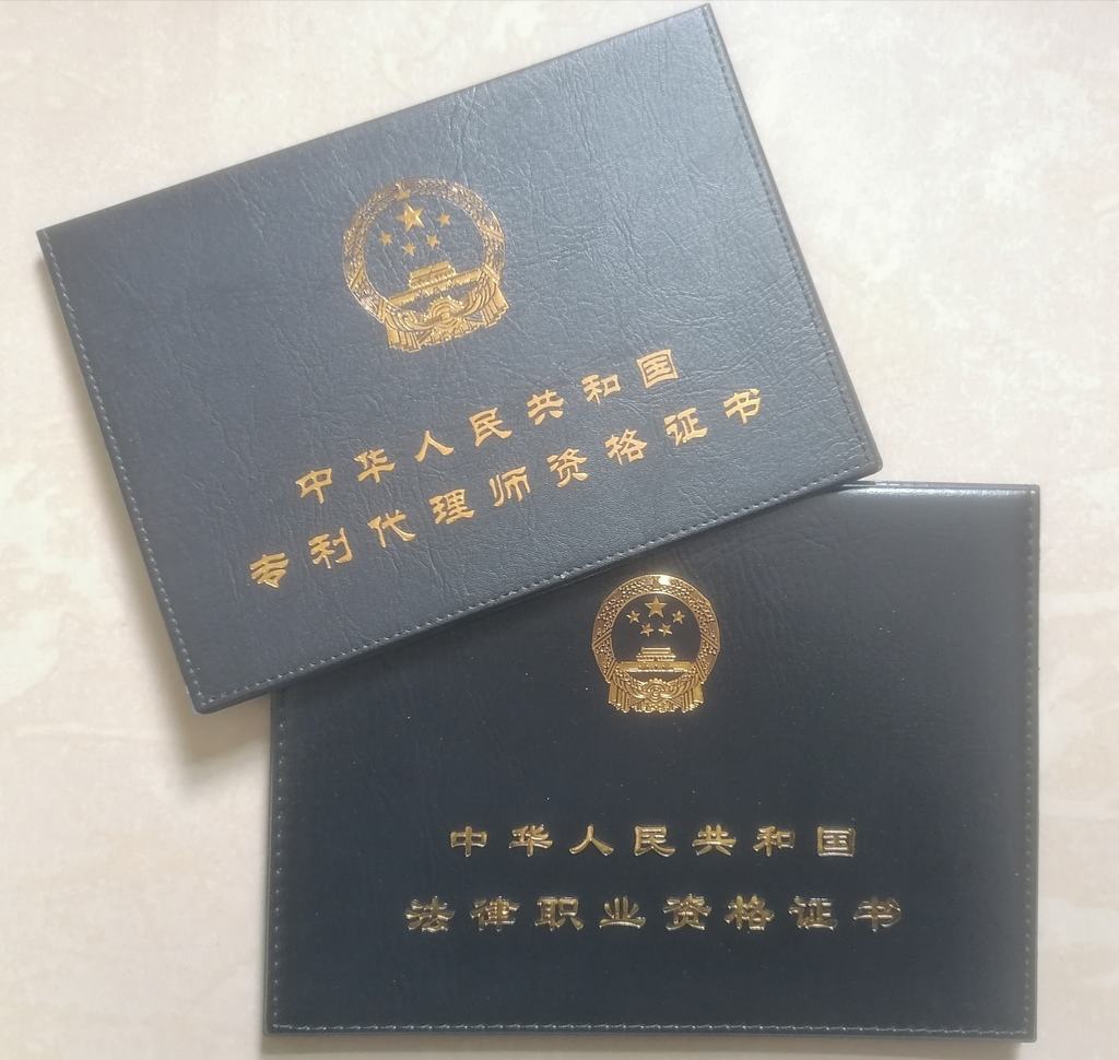 双证律师